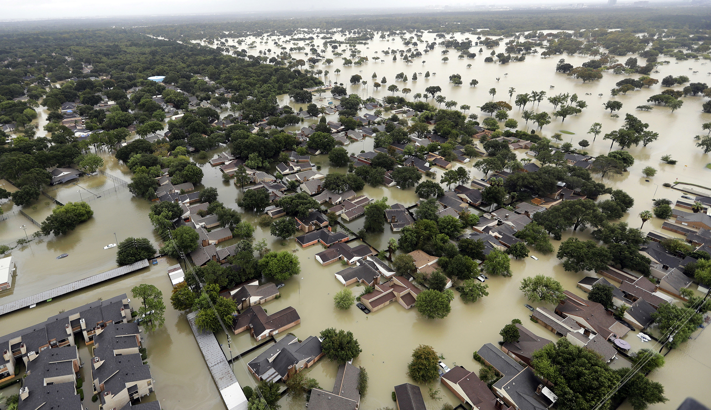 New York Times column asks: ‘Would human extinction be a tragedy?’