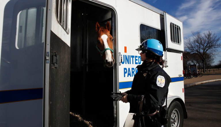 Park Police Horse Mounted Patrol Unit Officer Baum, who is working without pay due to the government shutdown, puts Monty into a horse trailer at the end of their day, across from the Martin Luther King Jr. Memorial, Thursday, Dec. 27, 2018, in Washington, during a partial government shutdown.