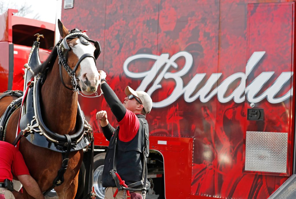 Budweiser distributor cancels Clydesdale events over ‘safety concerns’ after Dylan Mulvaney Bud Light debacle