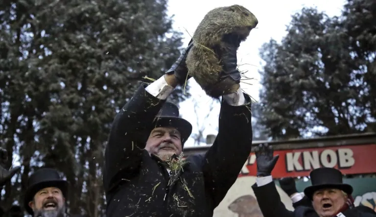Groundhog Club co-handler John Griffiths holds Punxsutawney Phil.