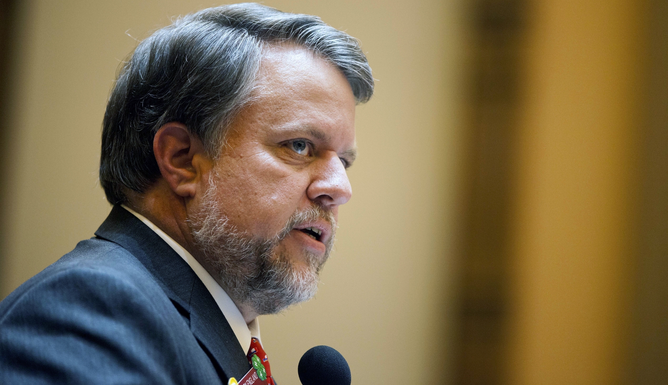 Georgia House to vote on amended 2021 budget