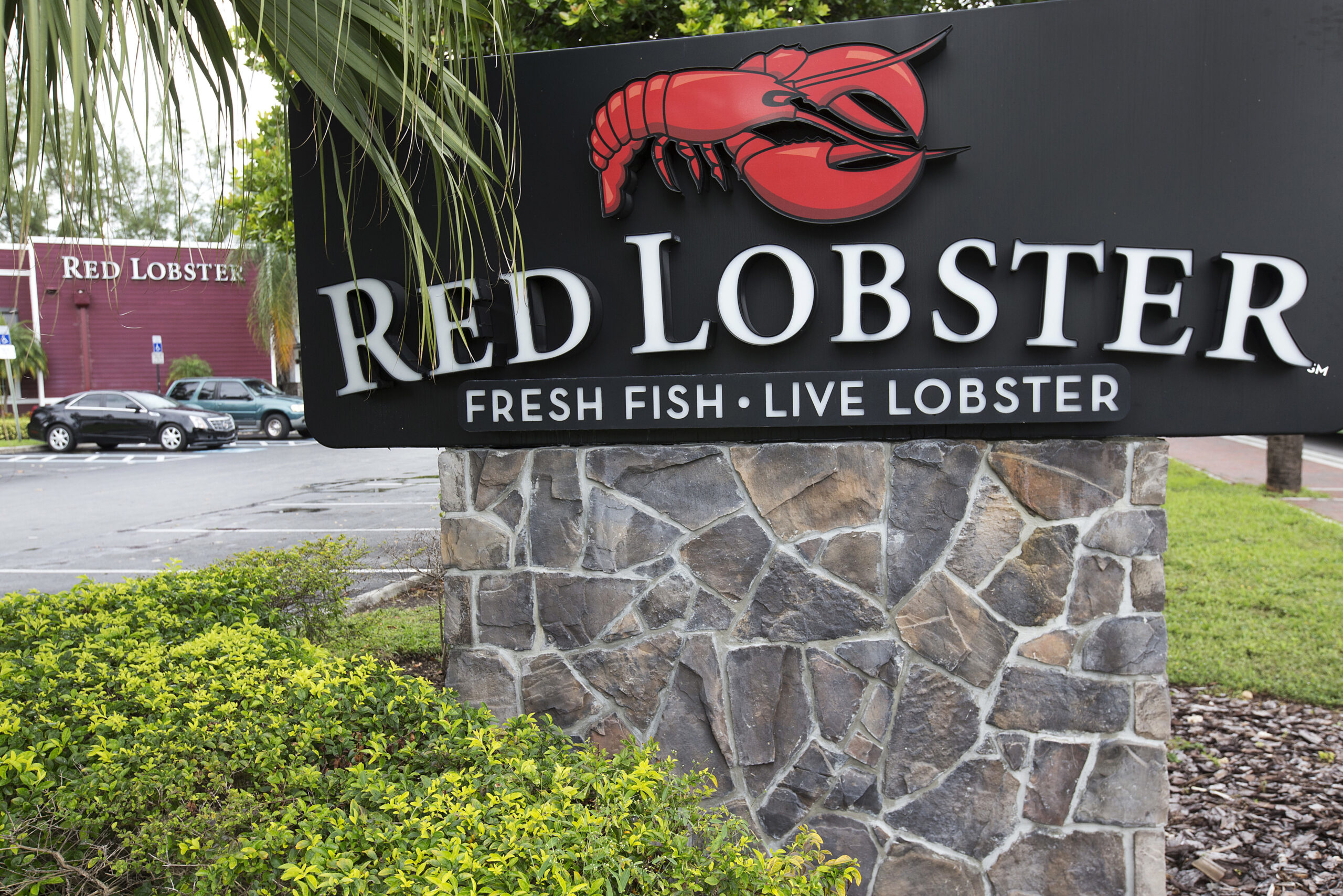 Red Lobster raises price for its endless shrimp in wake of $11 million operating loss