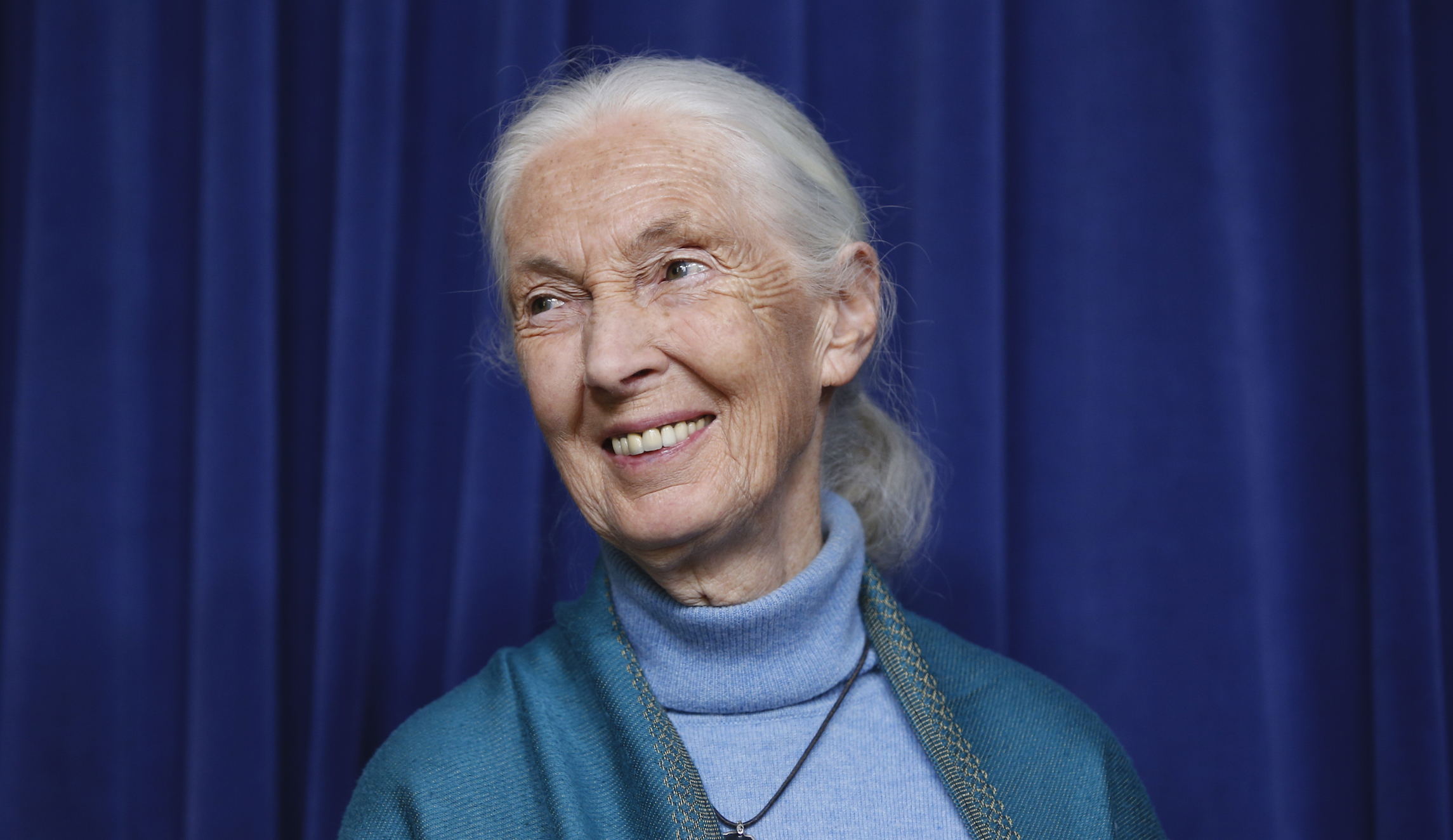 ‘Never before breathed clean air in cities’: Jane Goodall hopes pollution stays low after pandemic