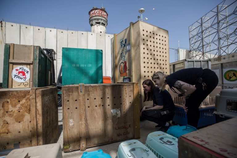 Israel to permit Palestinians through Gaza border crossing after 18-month COVID-19 lockdown