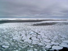 Modern star maps may lead to location of Shackleton’s Endurance wreckage in Weddell Sea