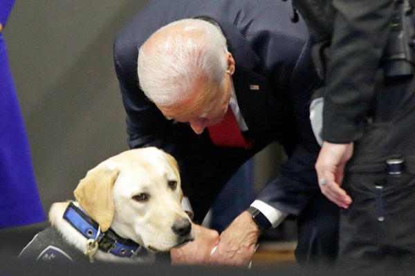 GOP: Democrats choose Fido and Muffy over inflation-shocked public