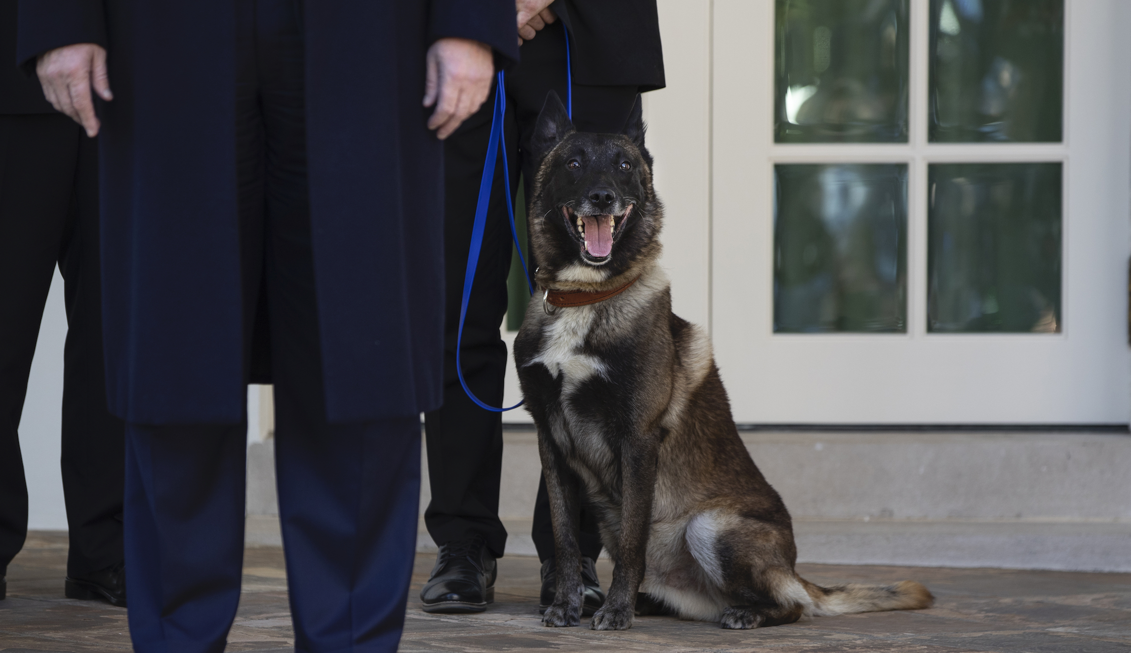 ‘Thanks to Conan’: Trump honors dog who cornered Baghdadi on National K-9 Veterans Day