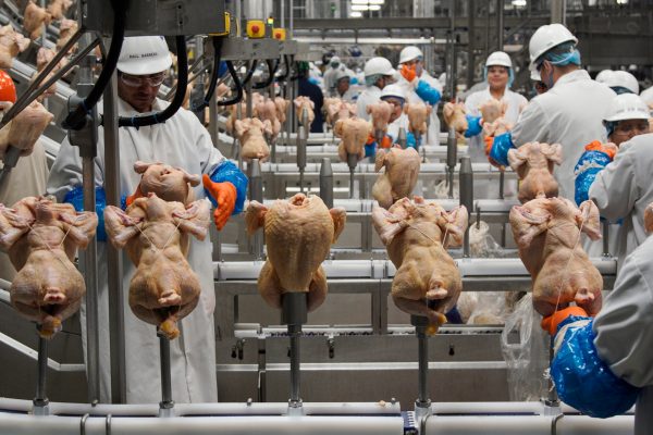 Price fixins: Washington attorney general secures $35 million from chicken giants in lawsuit