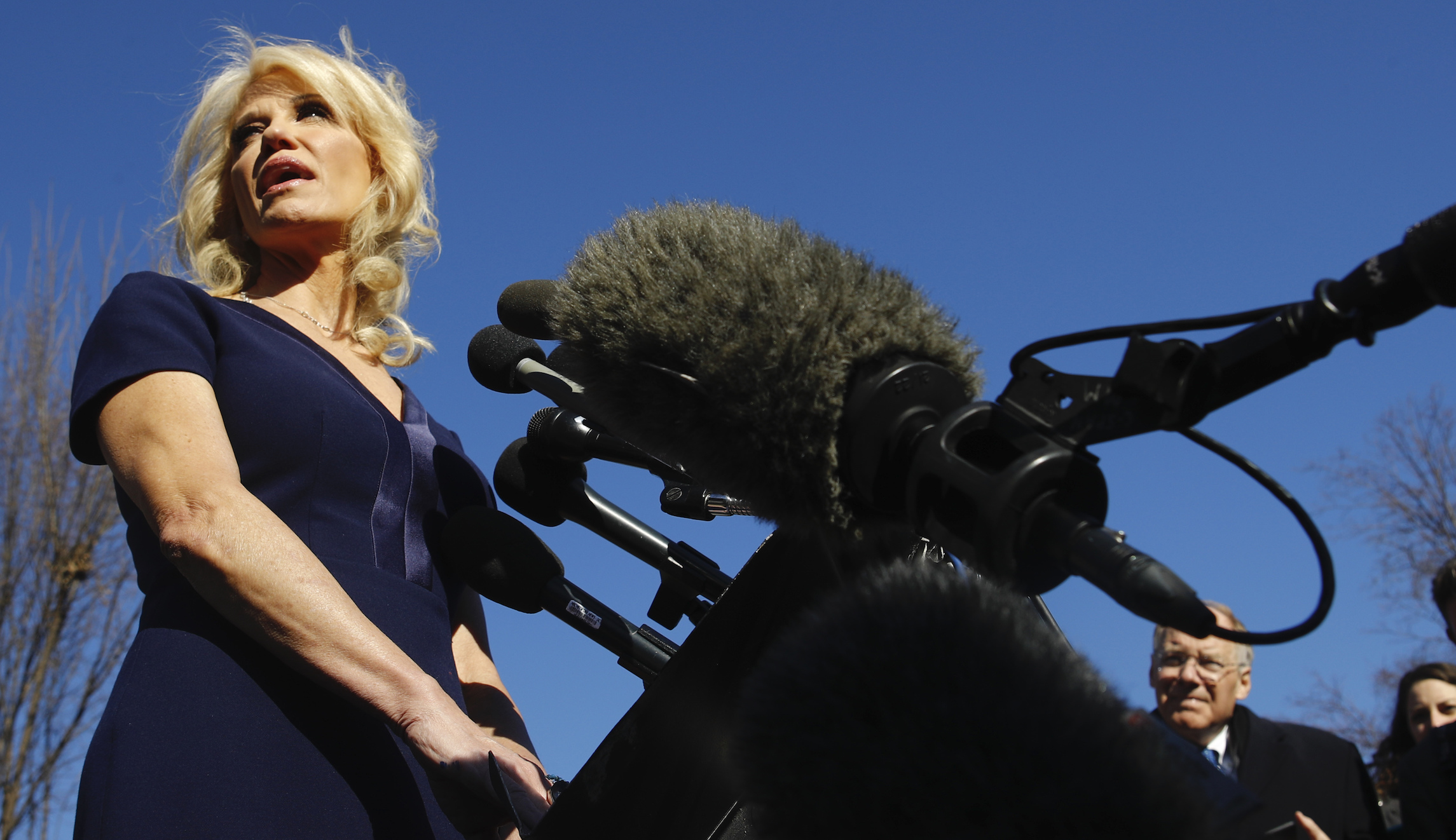 Conway says Sanders would be the candidate ‘if Democrats were serious about electability’