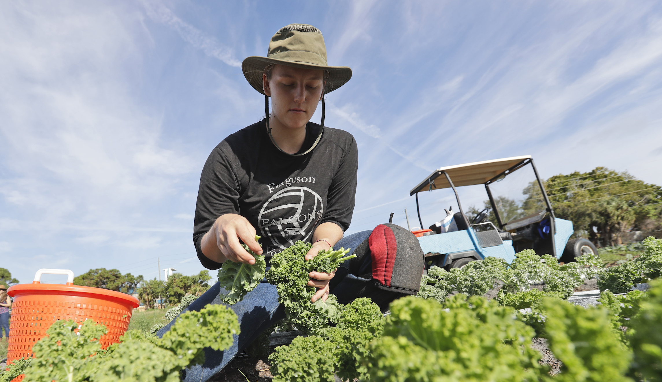 Red states can help enforce immigration law with mandatory E-Verify