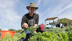 Farmers are natural climate solution champions
