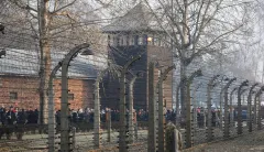 Lacking Holocaust awareness just the surface of bleak anti-Semitism picture