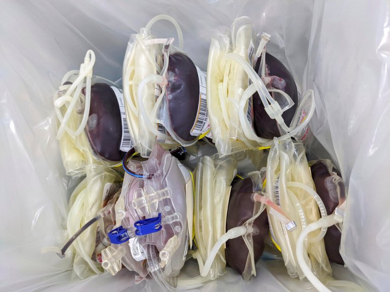 Bags containing donated blood are stored in an icebox at the American Red Cross office in Santa Monica, Calif., Thursday, March 26, 2020. 