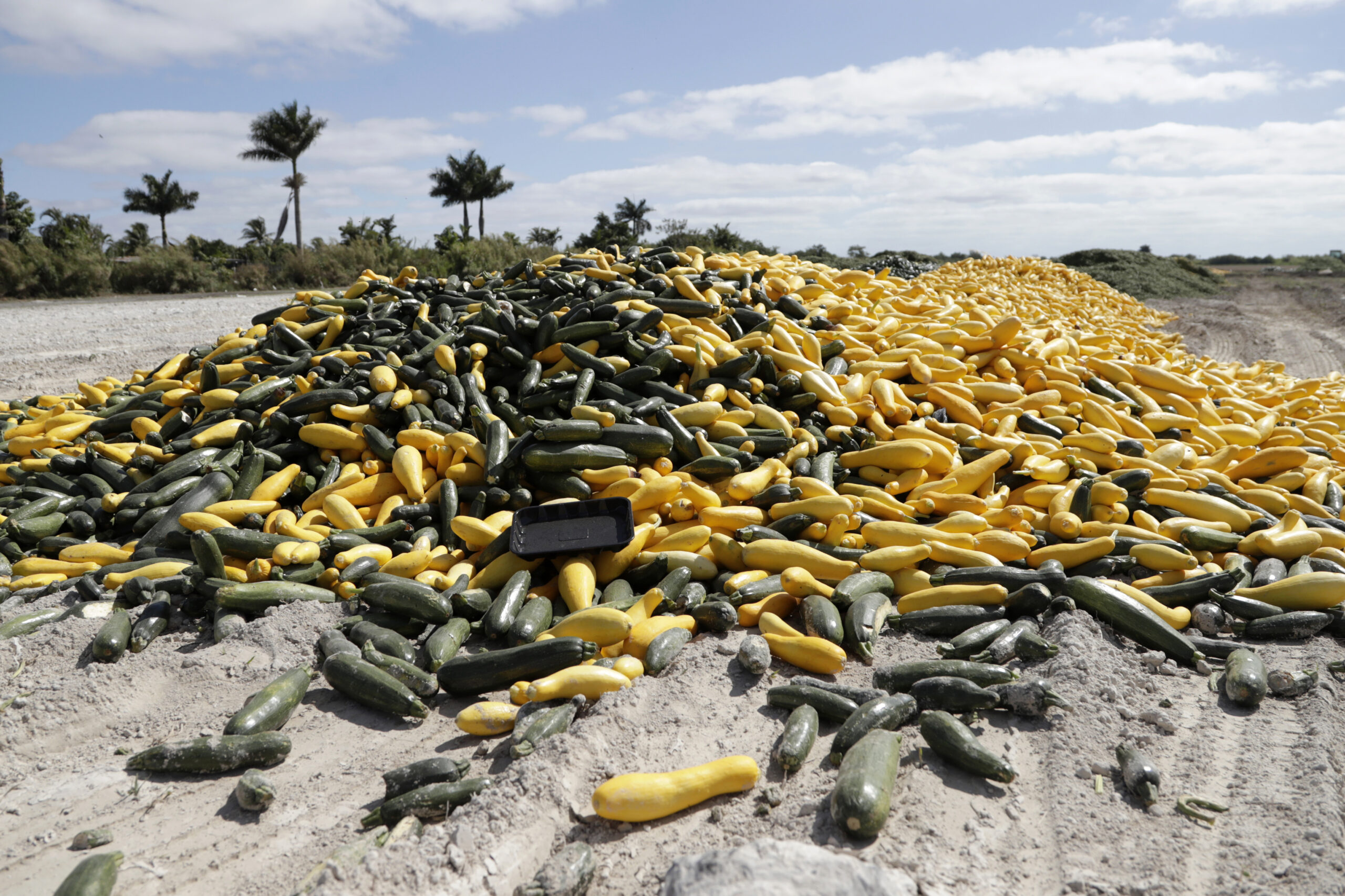 Risk to canned vegetables, fruit prompts call to keep plants running