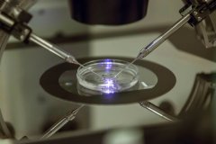 Democrats move to codify access to IVF post-Roe