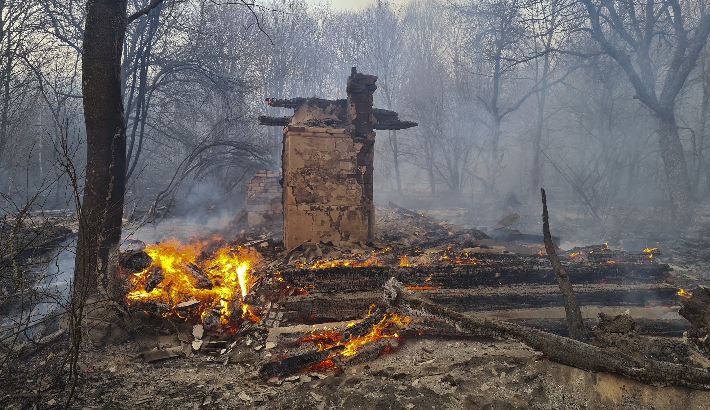 Russians drove through radioactive Red Forest by Chernobyl with no radioactive gear on