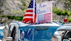 Coronavirus protesters just want to work