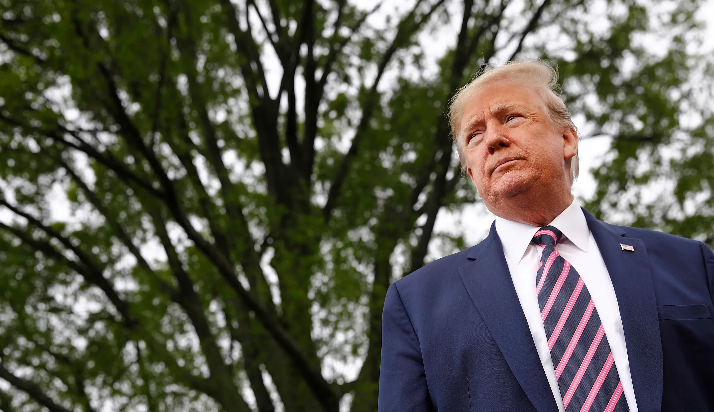 Trump to visit SpaceX rocket launch in Florida next week