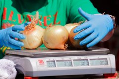 Food stamps: Direct payment worth up to $1,116 to arrive in Washington in six days