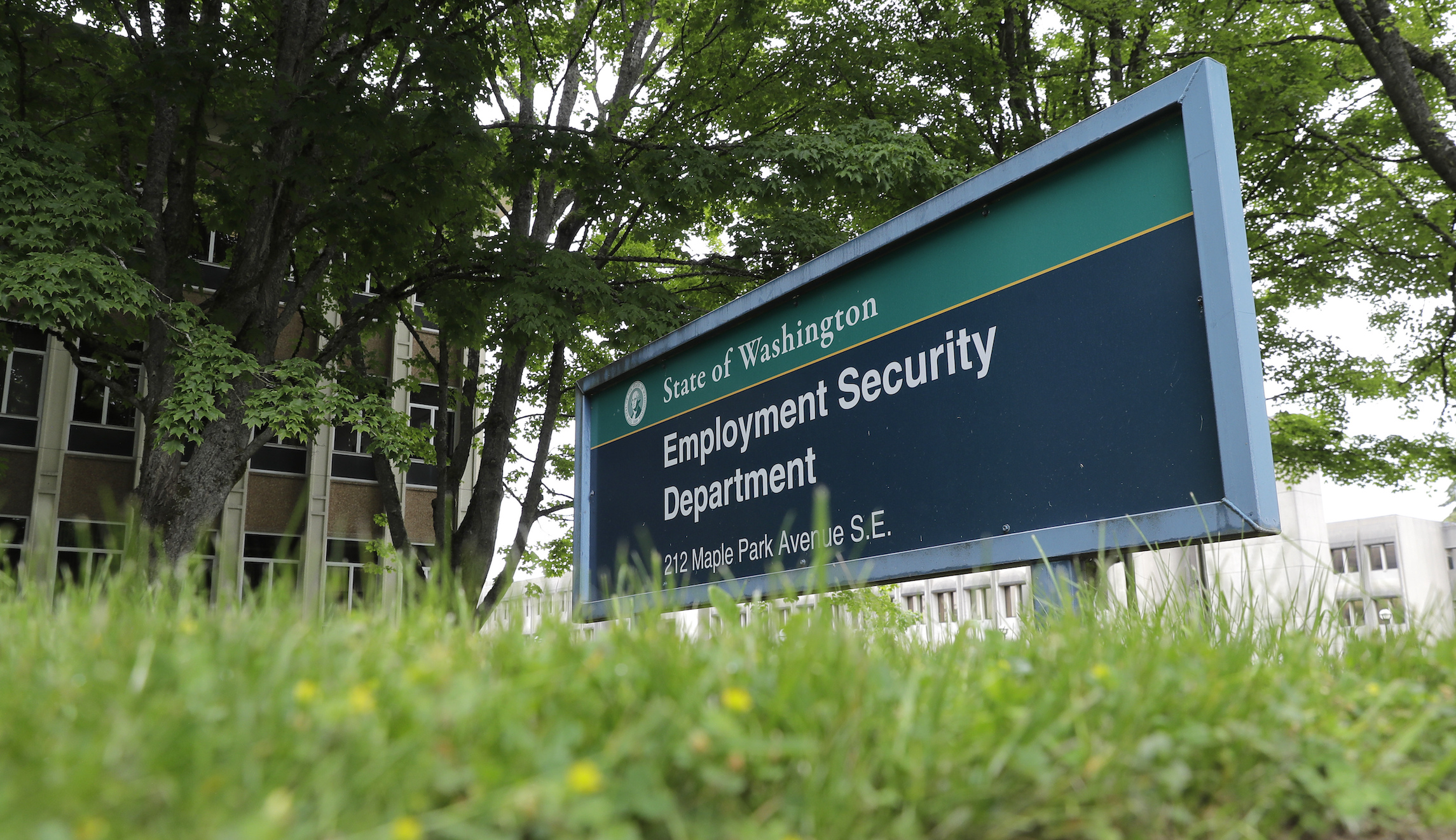 Security gaps cost Washington Employment Security Department millions: Auditor
