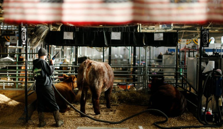 Pennsylvania Farm Show to be closed to in-person events, take place as ‘virtual show’