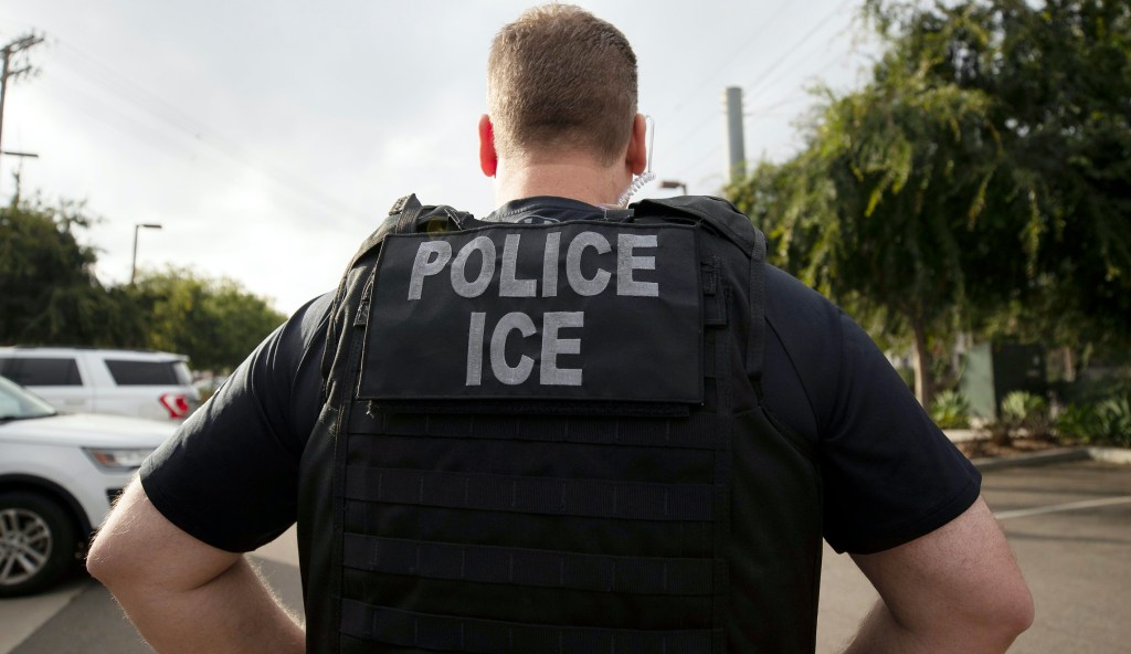 Oregon protesters block ICE buses from taking away two illegal immigrants