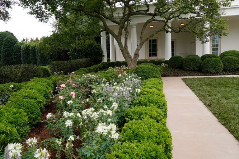 ‘Entirely devoid of color or joy’: Liberals attack Melania Trump’s renovations of Rose Garden