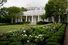 Rose Garden restoration reveals anti-Trump resistance even more deranged than it seems