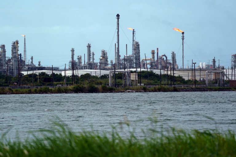 Industry groups argue Louisiana Fifth Circuit should reverse panel decision on coastal lawsuits