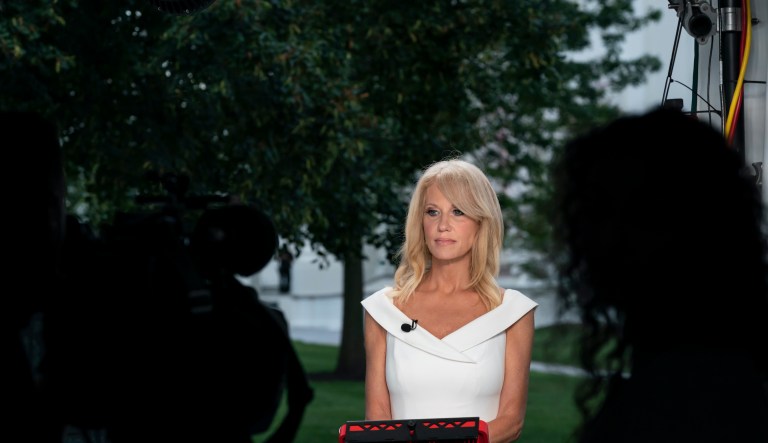 Kellyanne Conway calls for Trump to host ‘domestic peace talks’ at Camp David to help heal racial tension