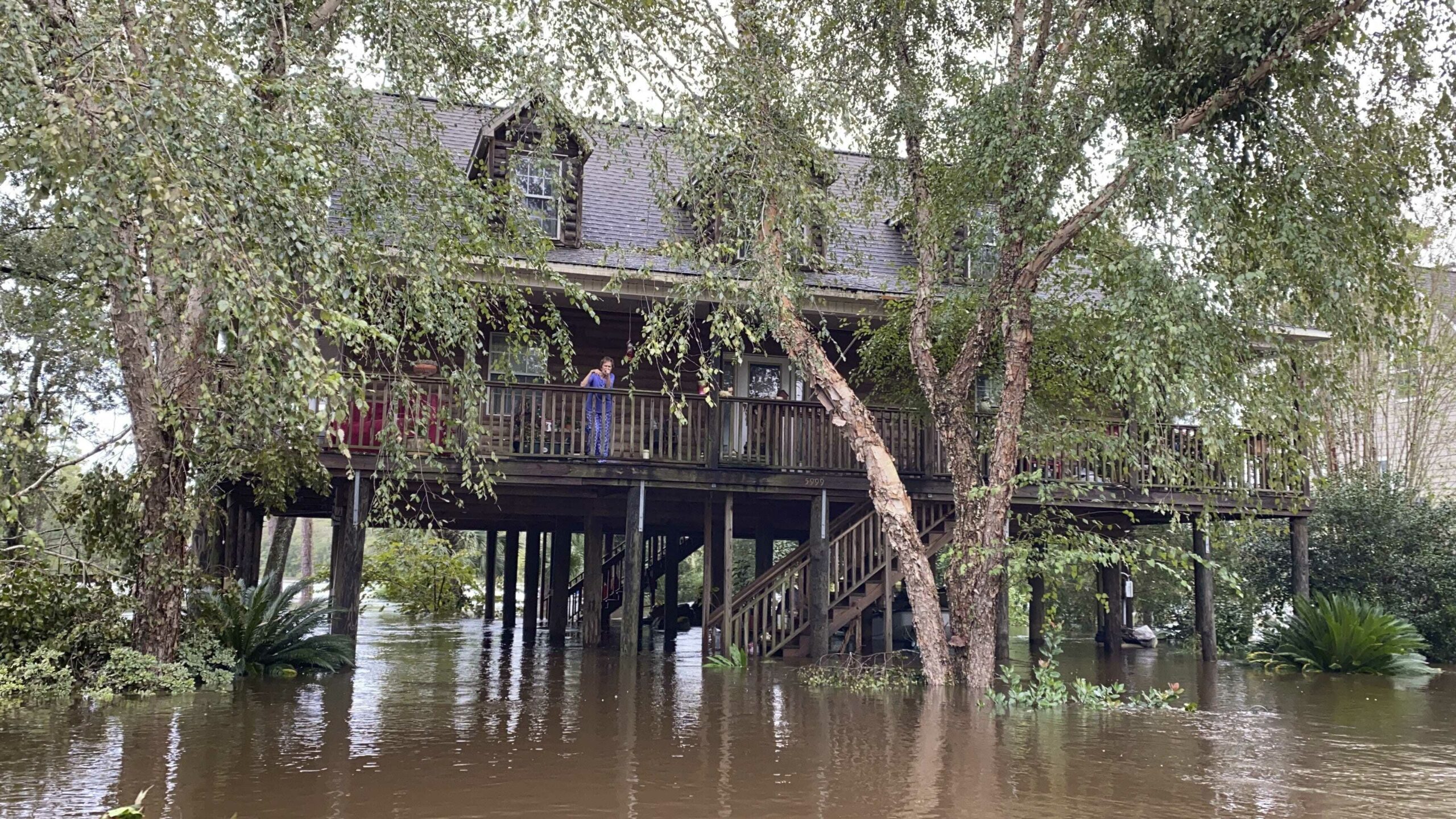 More Florida homeowners brace for property insurance sticker shock