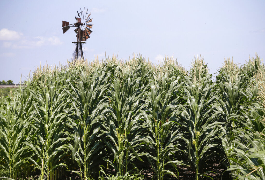 $500k federal grant will support Iowa farmers’ mental health