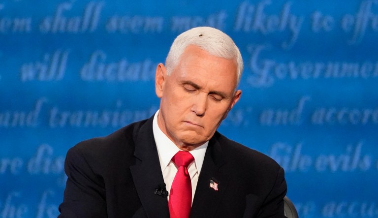 Pence laughs off post-debate buzz, says his children pointed out he had bug on his head