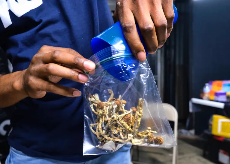 In this May 24, 2019, file photo a vendor bags psilocybin mushrooms at a pop-up cannabis market in Los Angeles. 