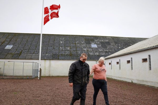 Denmark takes drastic measures to stop spread of mutated coronavirus found in mink