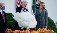 Trump ponders more pardons after Flynn