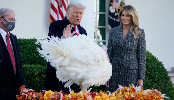 Trump ponders more pardons after Flynn