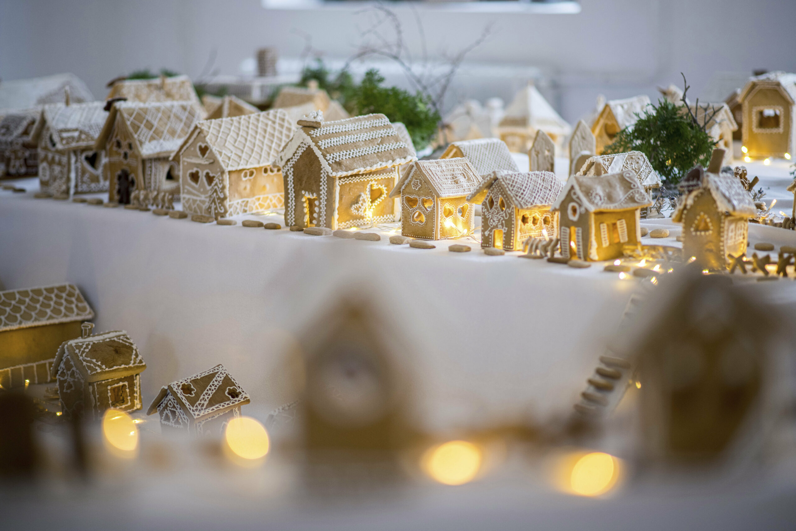 Minnesota resident shamed for their Christmas lights: ‘A reminder of systemic biases against our neighbors’