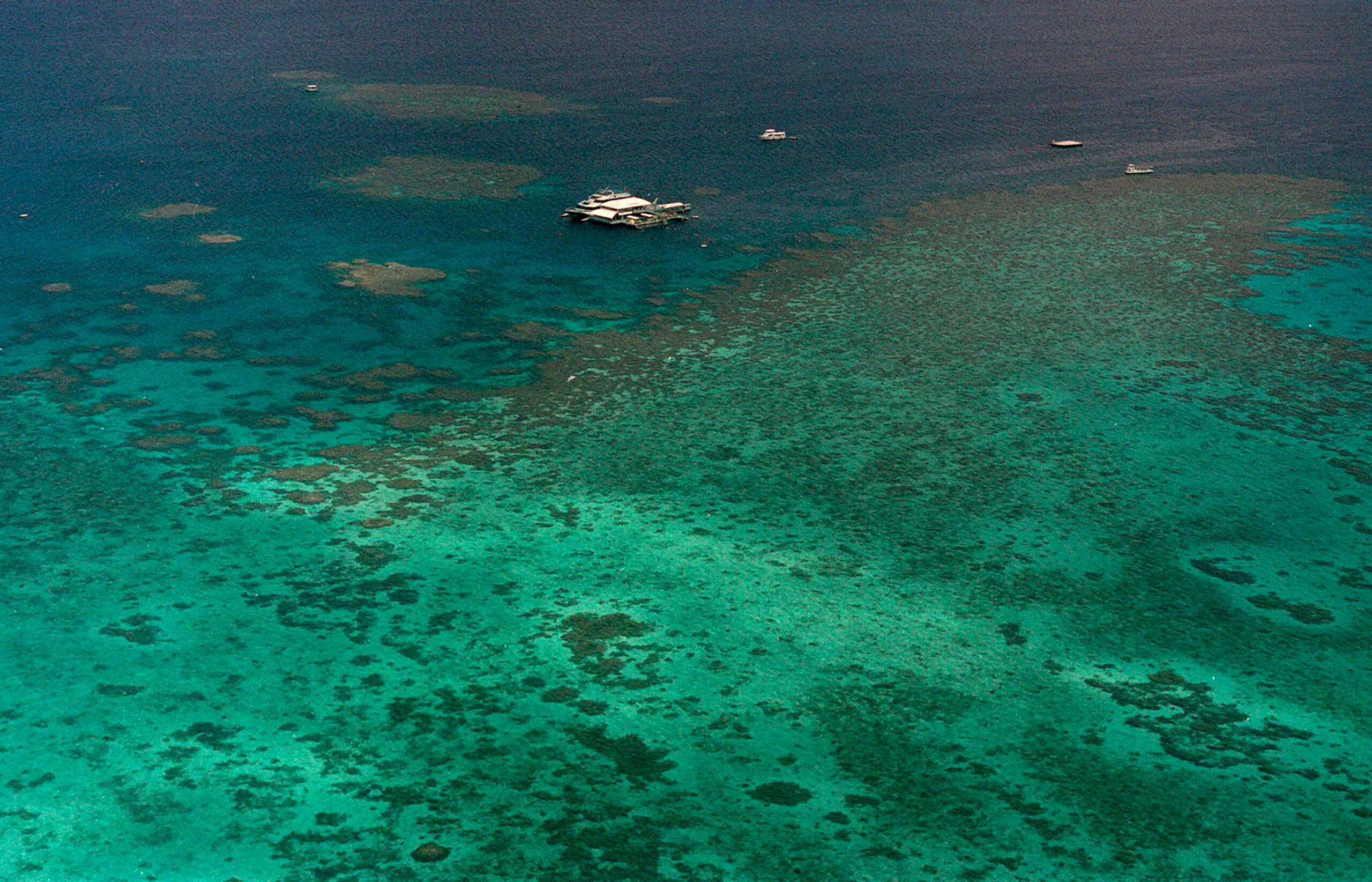 Great Barrier Reef status escalated to ‘critical’ in international report