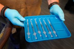 Unvaccinated employees may face termination from DNC