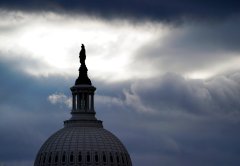 FBI vetting National Guard troops in DC amid fears of insider attack