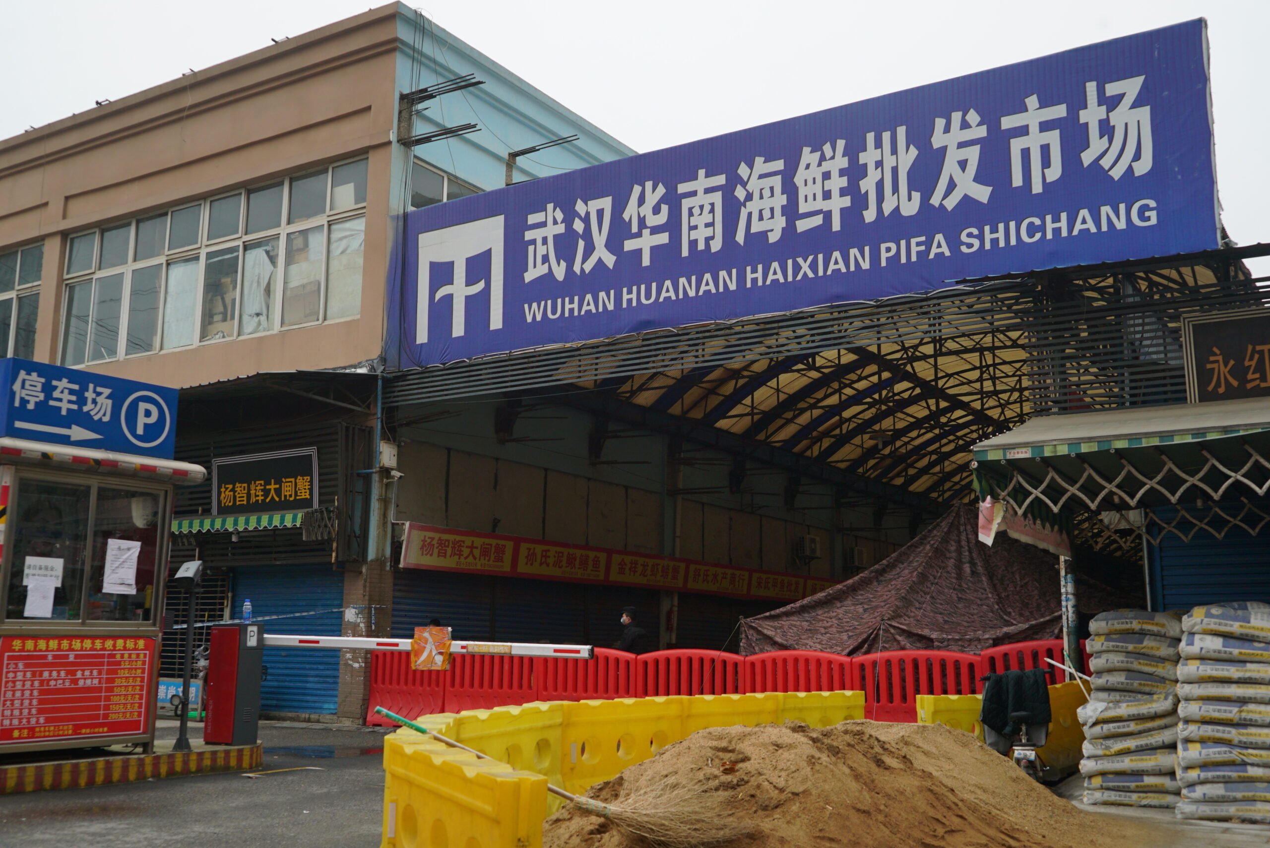Leading scientists back theory COVID-19 originated in Wuhan market