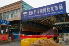 Leading scientists back theory COVID-19 originated in Wuhan market