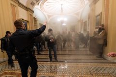 DC officer hospitalized after Capitol riot calls assault ‘most brutal’ hand-to-hand combat he’s experienced