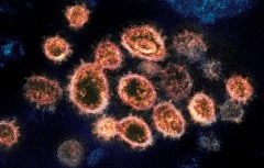 US reaches 73% immunity to omicron variant