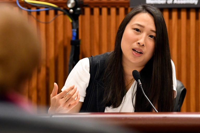 New York City Democratic congressional candidate backs anti-Israel BDS movement