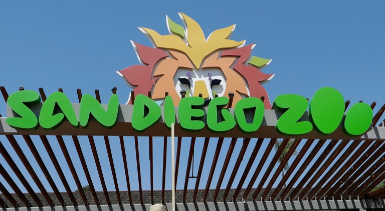 Father arrested after allegedly bringing child into the elephant habitat at the San Diego Zoo