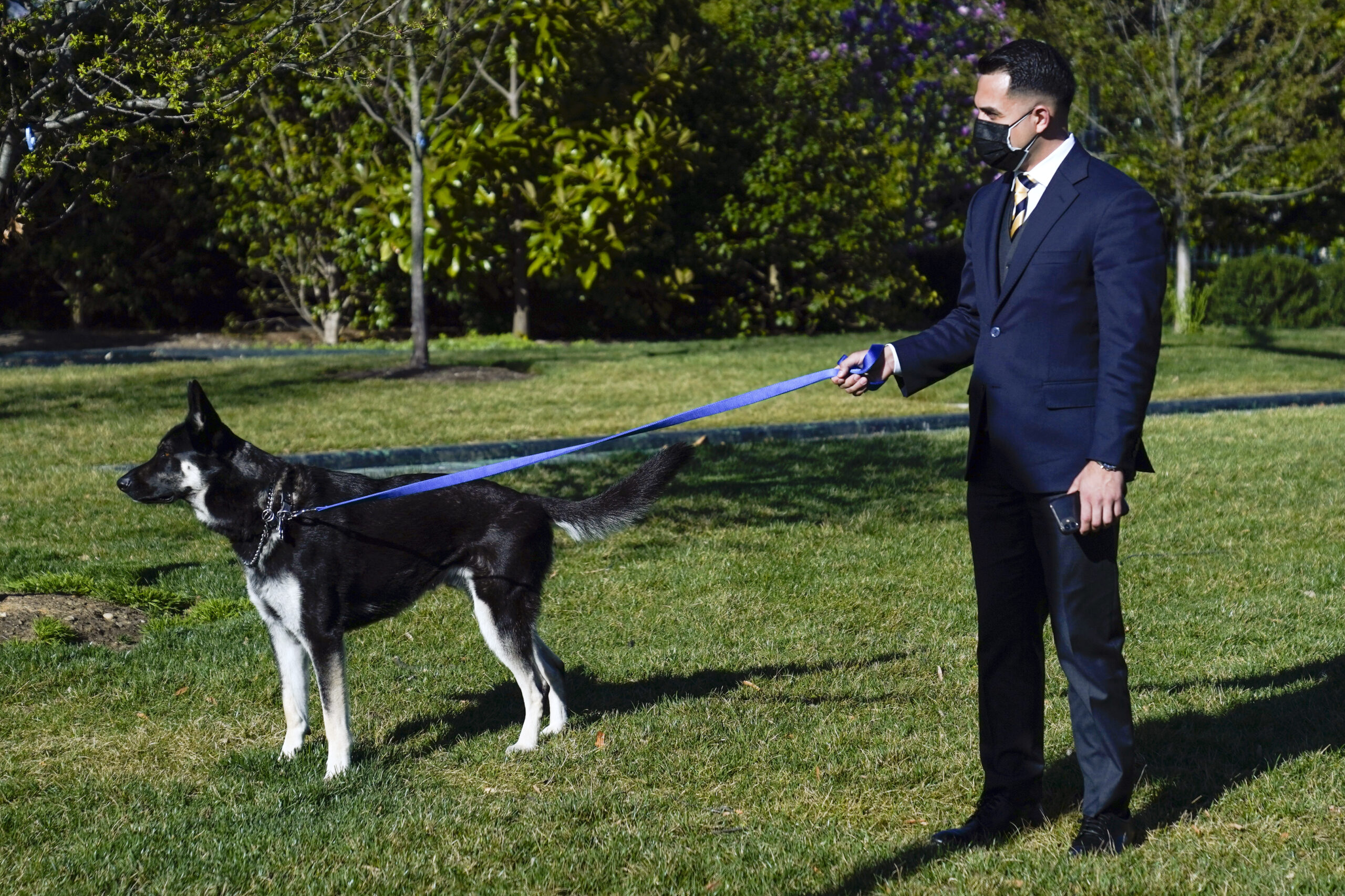 Biden’s dog Major bites again
