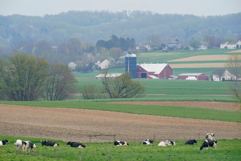 Pennsylvania farmers encouraged to apply for Farm Vitality Grant Program for organic transition