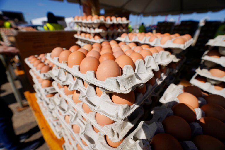 The Mississippi Department of Agriculture and Commerce distributed over 6,500 dozen eggs with 2,500 Farmers to Families food boxes, Wednesday, April 21, 2021 at the Mississippi State Fairgrounds in Jackson.